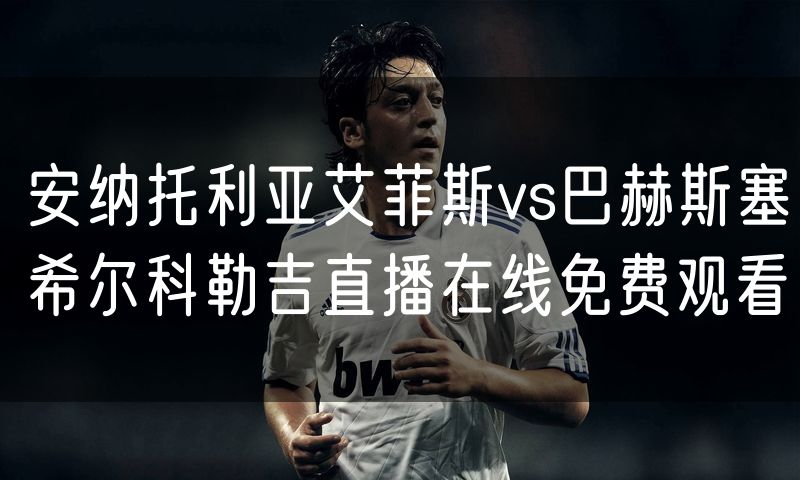 安纳托利亚艾菲斯vs巴赫斯塞希尔科勒吉直播在线免费观看