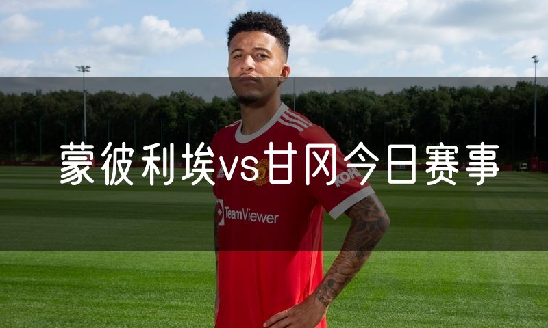 蒙彼利埃vs甘冈今日赛事