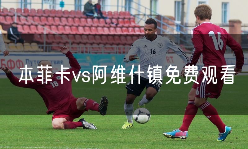 本菲卡vs阿维什镇免费观看