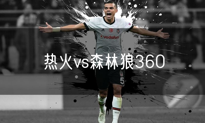 热火vs森林狼360