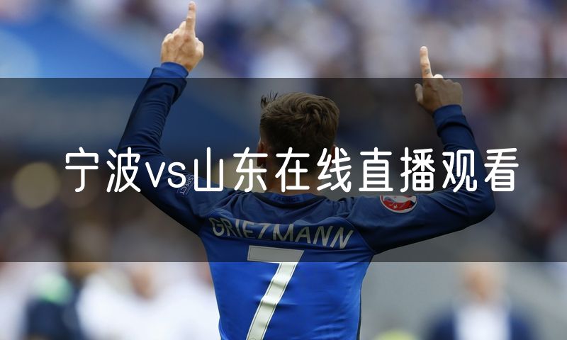 宁波vs山东在线直播观看