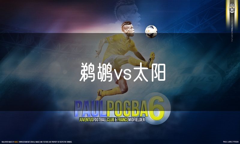 鹈鹕vs太阳