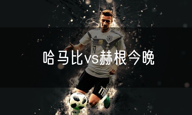 哈马比vs赫根今晚