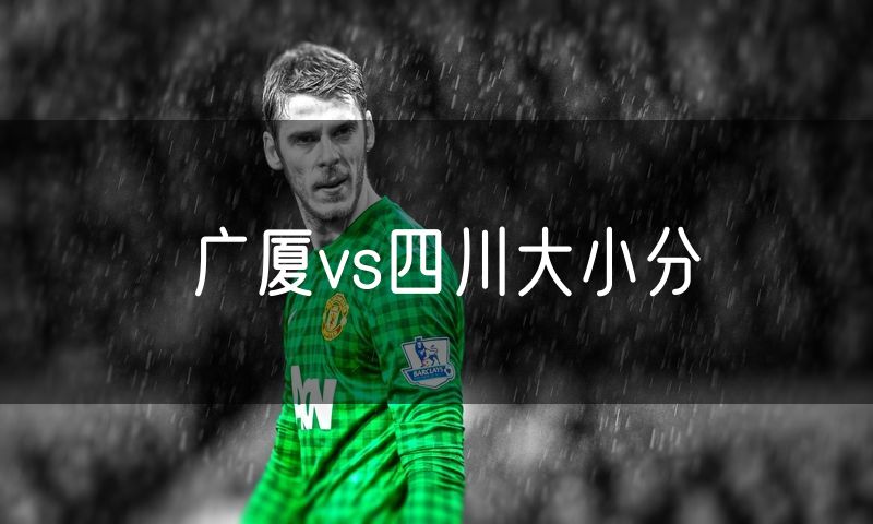 广厦vs四川大小分