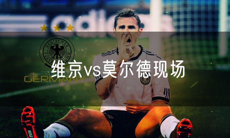 维京vs莫尔德现场