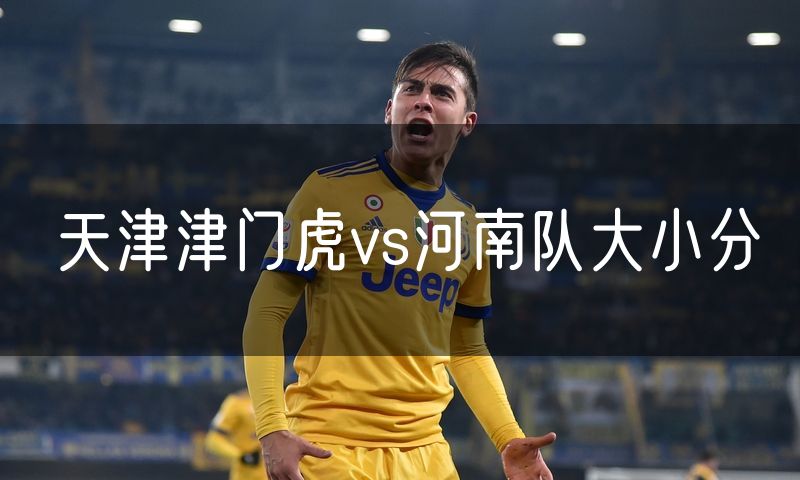 天津津门虎vs河南队大小分