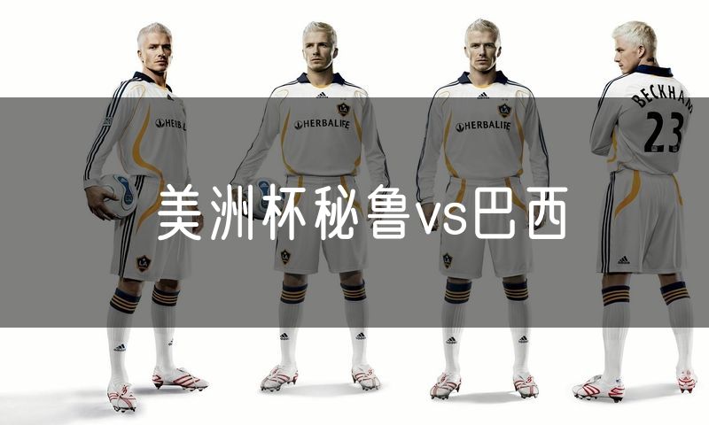 美洲杯秘鲁vs巴西