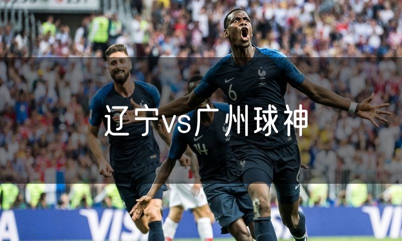 辽宁vs广州球神