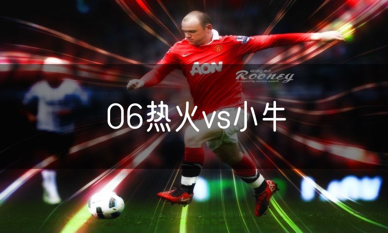 06热火vs小牛