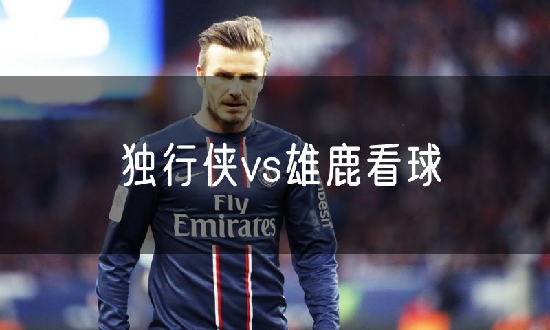 独行侠vs雄鹿看球