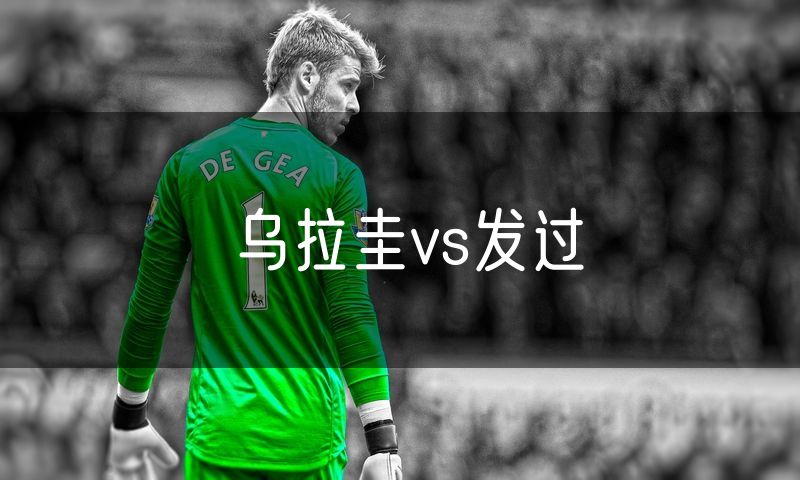 乌拉圭vs发过