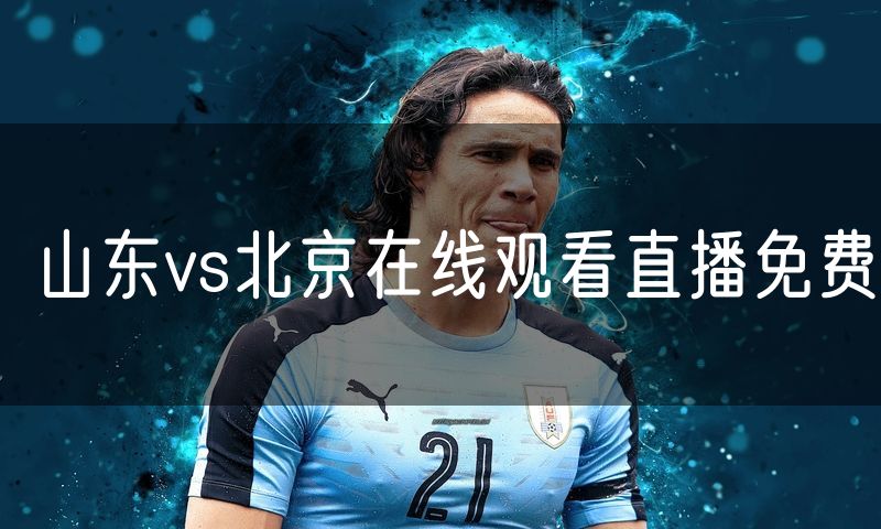山东vs北京在线观看直播免费