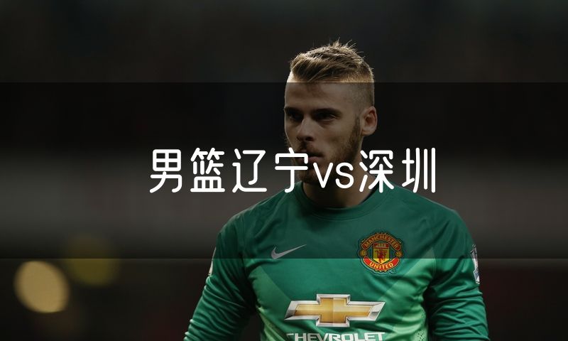 男篮辽宁vs深圳