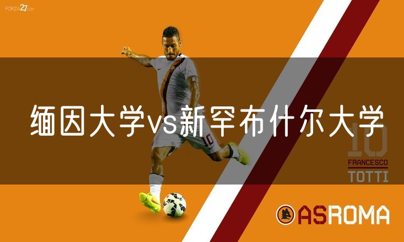 缅因大学vs新罕布什尔大学