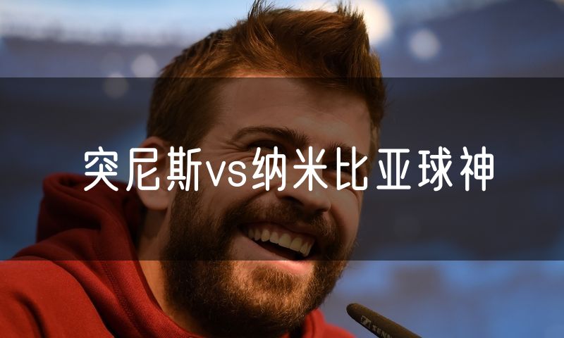 突尼斯vs纳米比亚球神