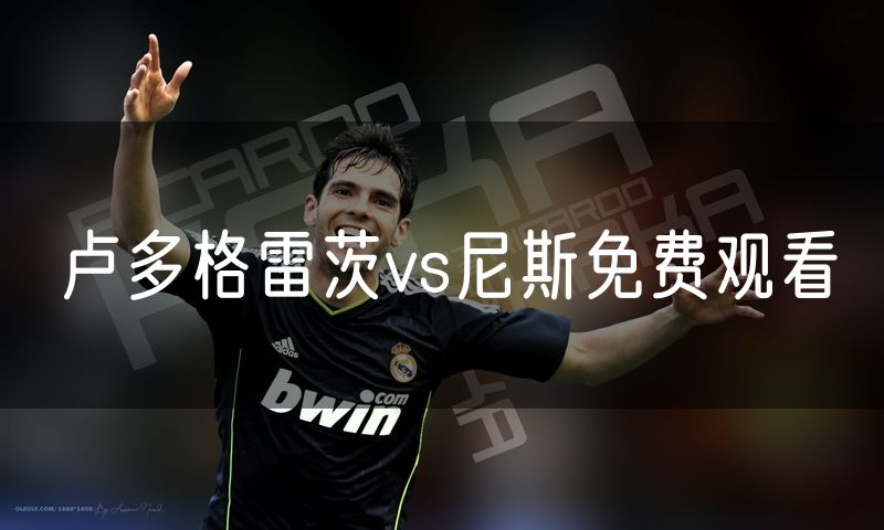 卢多格雷茨vs尼斯免费观看