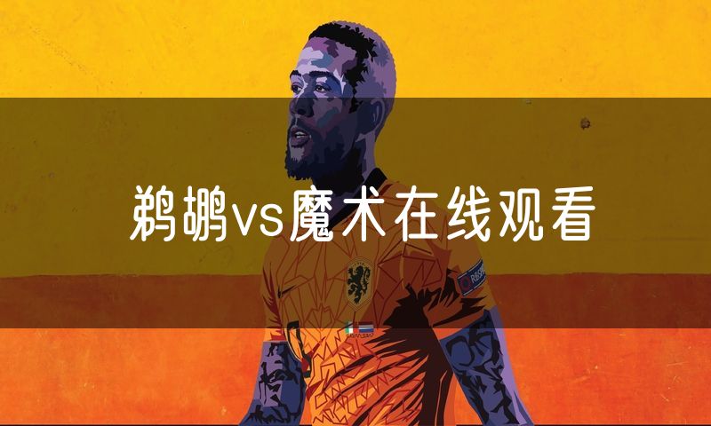 鹈鹕vs魔术在线观看