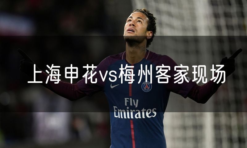 上海申花vs梅州客家现场