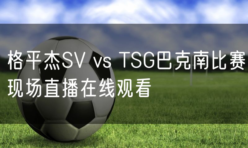 格平杰SV vs TSG巴克南比赛现场直播在线观看