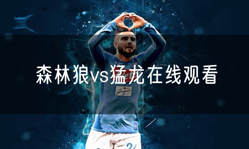 森林狼vs猛龙在线观看