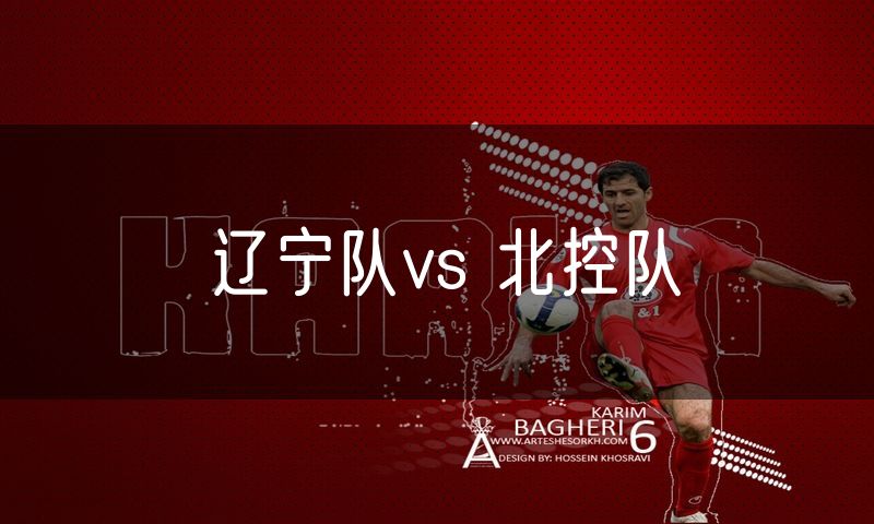 辽宁队vs 北控队
