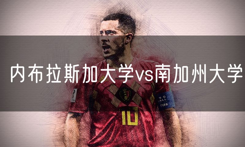 内布拉斯加大学vs南加州大学