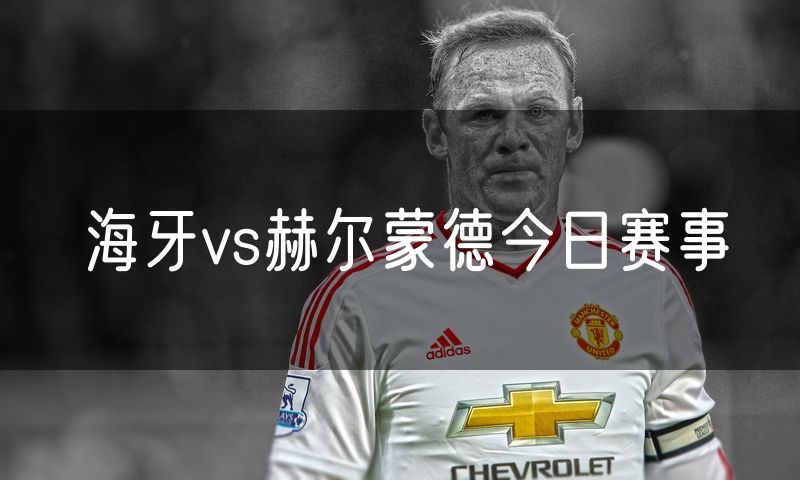 海牙vs赫尔蒙德今日赛事 海牙vs赫尔蒙德今日赛事