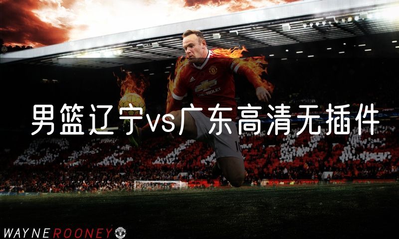 男篮辽宁vs广东高清无插件 男篮辽宁vs广东高清无插件