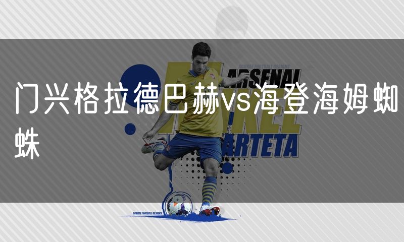 门兴格拉德巴赫vs海登海姆蜘蛛 门兴格拉德巴赫vs海登海姆蜘蛛