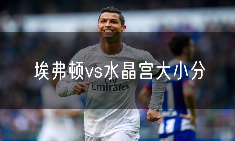 埃弗顿vs水晶宫大小分