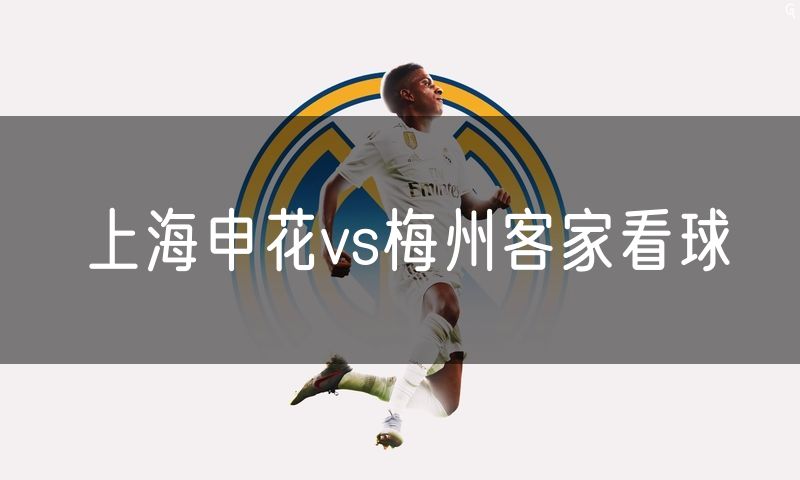 上海申花vs梅州客家看球