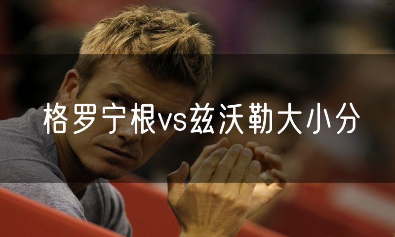 格罗宁根vs兹沃勒大小分