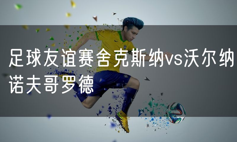 足球友谊赛舍克斯纳vs沃尔纳诺夫哥罗德