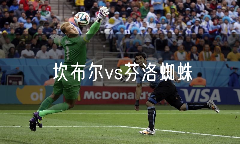 坎布尔vs芬洛蜘蛛 坎布尔vs芬洛蜘蛛