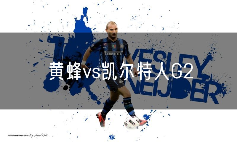 黄蜂vs凯尔特人G2