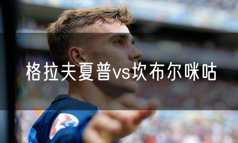 格拉夫夏普vs坎布尔咪咕