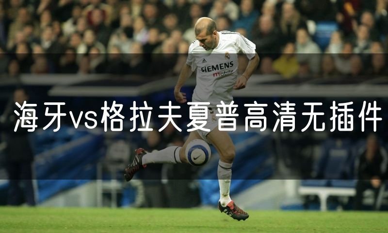 海牙vs格拉夫夏普高清无插件 海牙vs格拉夫夏普高清无插件