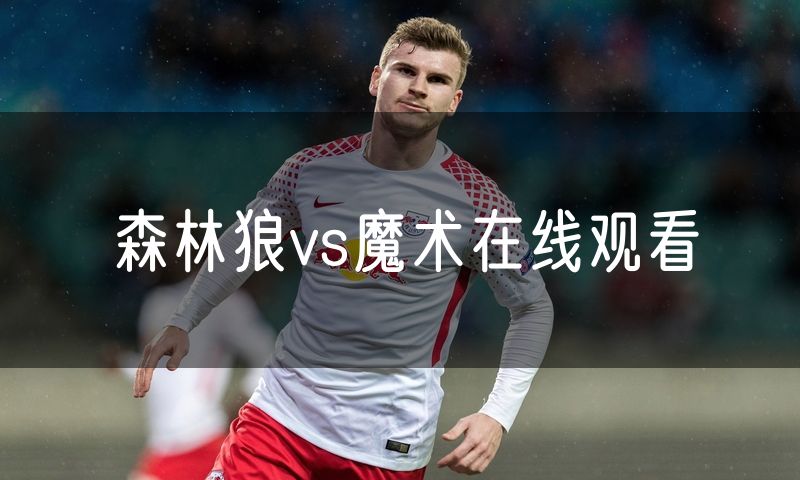 森林狼vs魔术在线观看