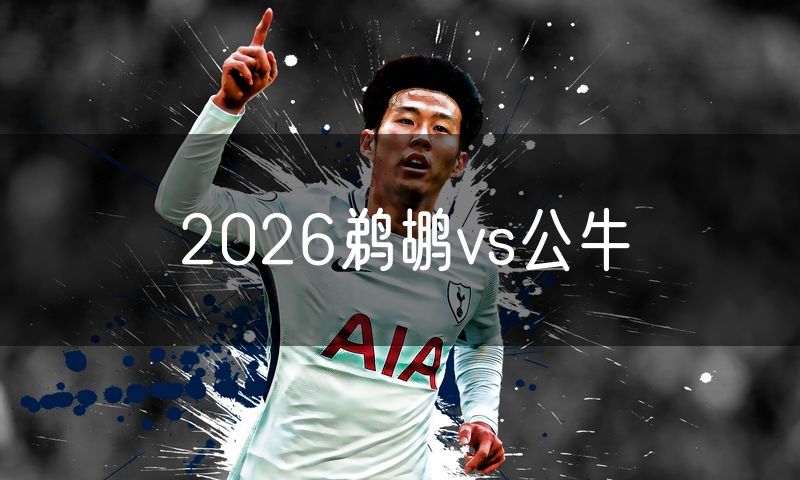 2026鹈鹕vs公牛