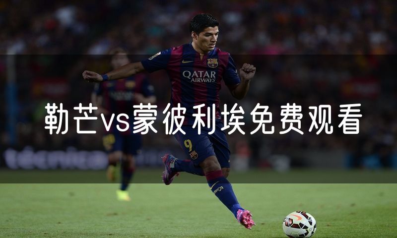 勒芒vs蒙彼利埃免费观看