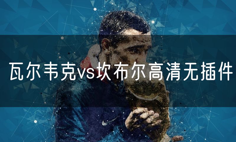 瓦尔韦克vs坎布尔高清无插件