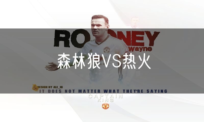 森林狼VS热火