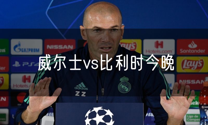 威尔士vs比利时今晚