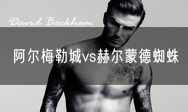 阿尔梅勒城vs赫尔蒙德蜘蛛 阿尔梅勒城vs赫尔蒙德蜘蛛