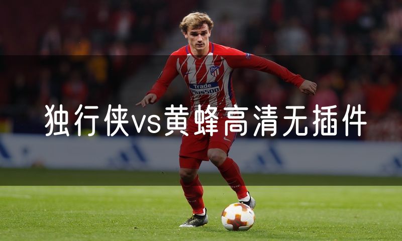 独行侠vs黄蜂高清无插件