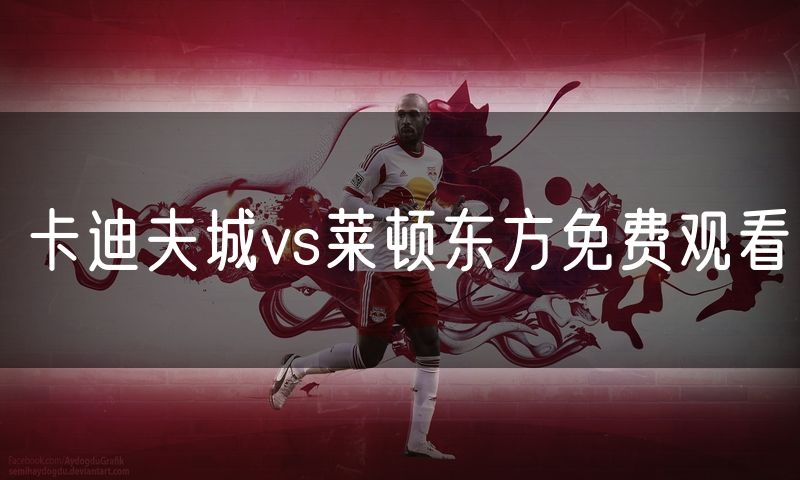 卡迪夫城vs莱顿东方免费观看