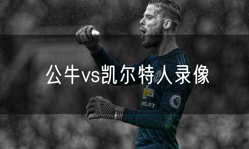 公牛vs凯尔特人录像