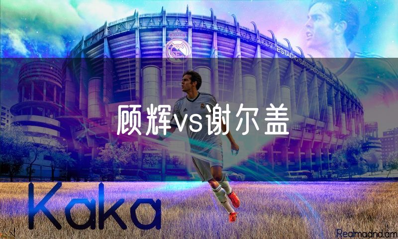 顾辉vs谢尔盖 顾辉vs谢尔盖