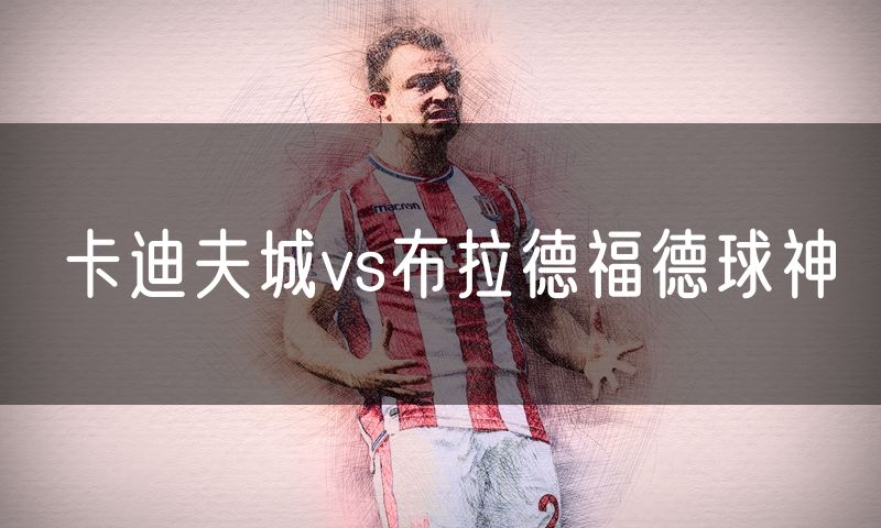 卡迪夫城vs布拉德福德球神