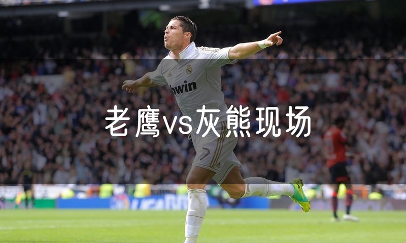 老鹰vs灰熊现场